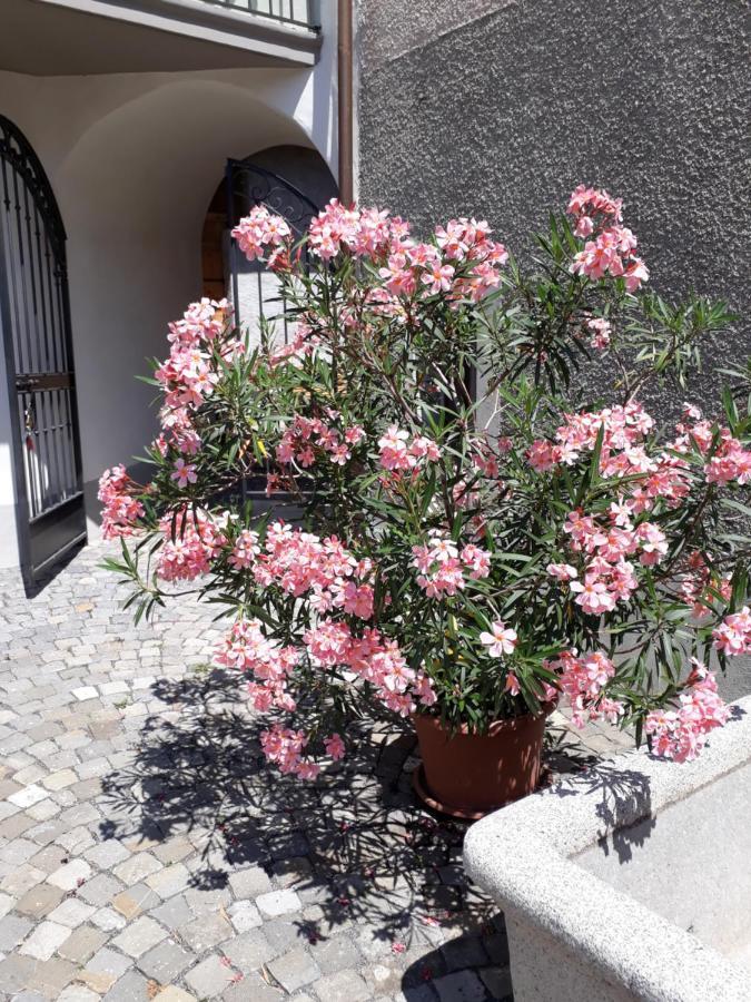 Bed and Breakfast Aux Trois Soleils Chexbres Exterior foto
